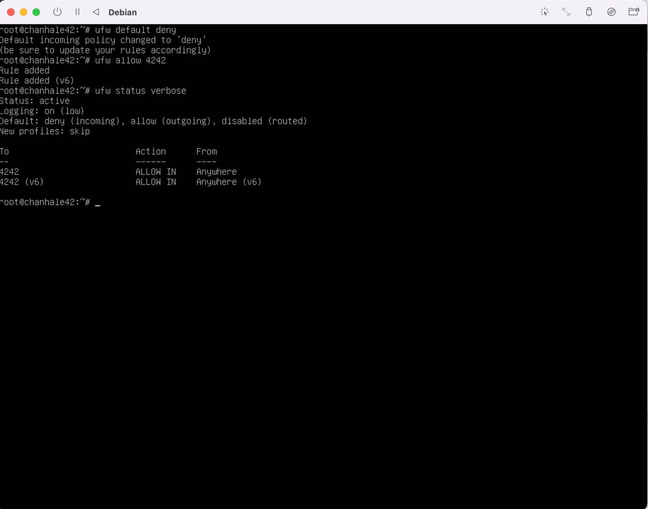 debian_setting-10
