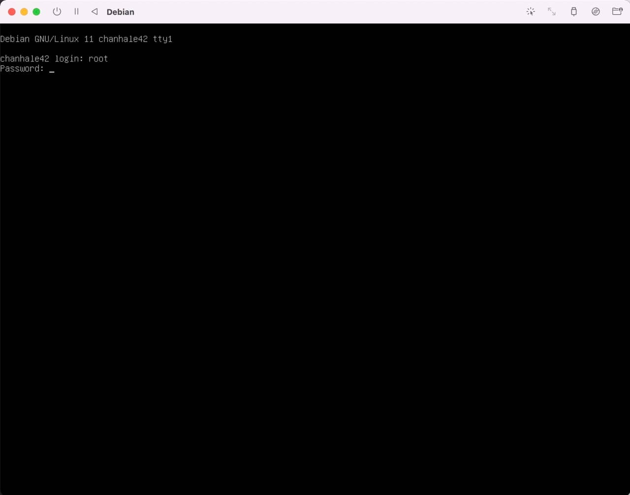debian_setting-2