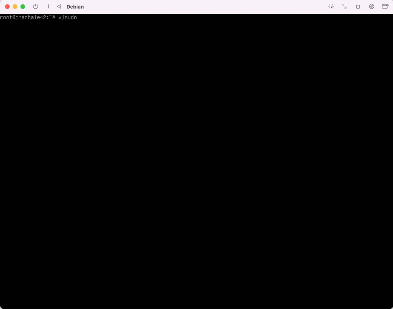 debian_setting-6