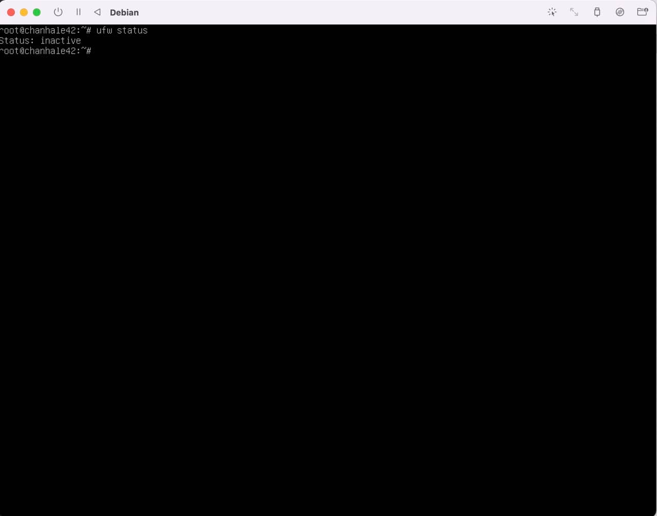 debian_setting-9