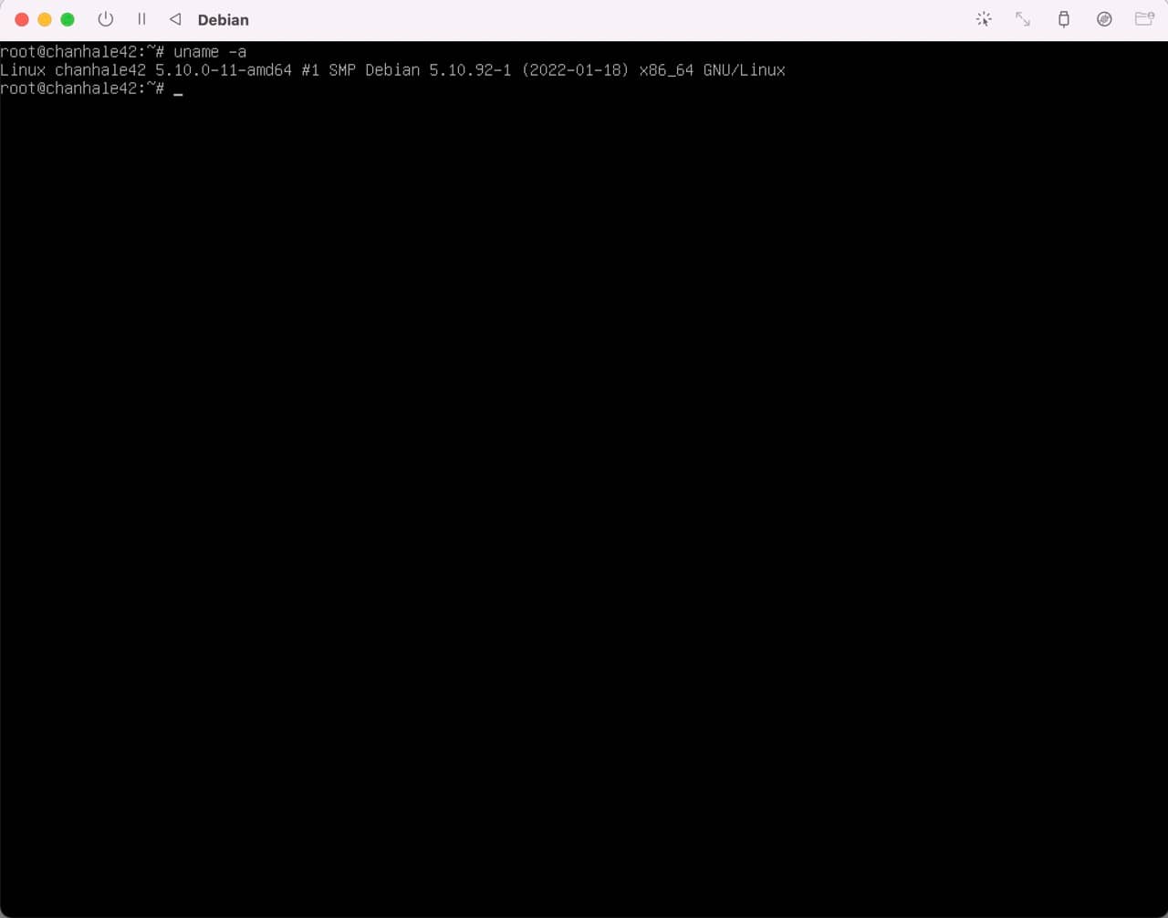 debian_setting-m1