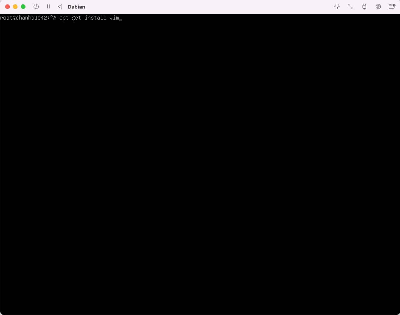 debian_setting-vim