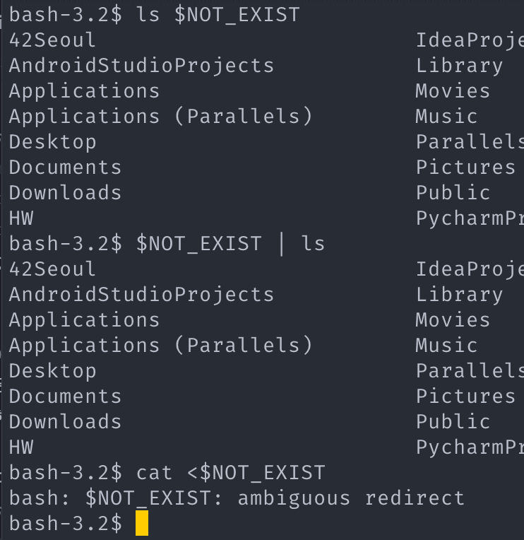 minishell_exemple10